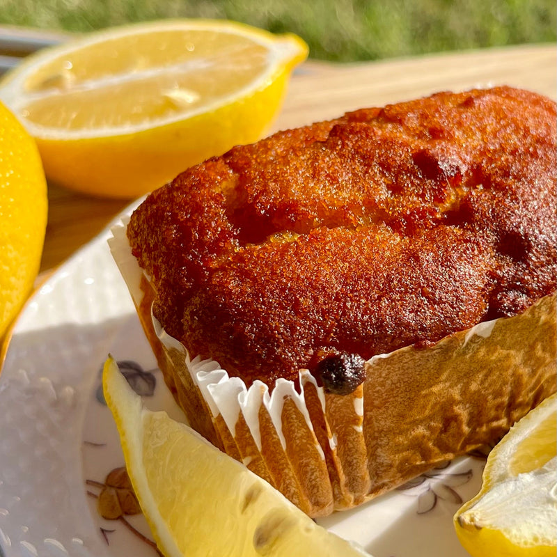 Lemon Mini-Loaves